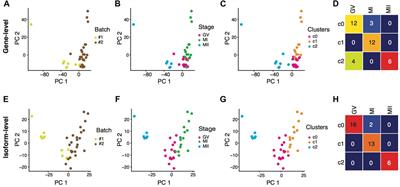 Pervasive 3′-UTR Isoform Switches During Mouse Oocyte Maturation